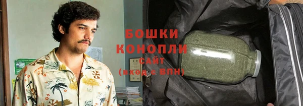 ГАЛЛЮЦИНОГЕННЫЕ ГРИБЫ Куйбышев