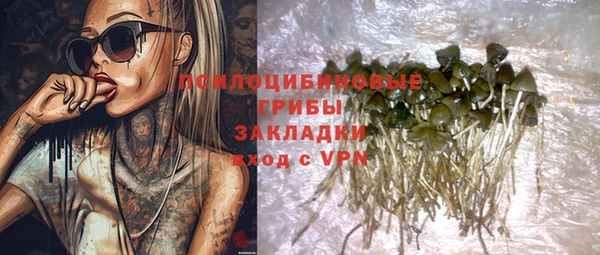 ГАЛЛЮЦИНОГЕННЫЕ ГРИБЫ Куйбышев