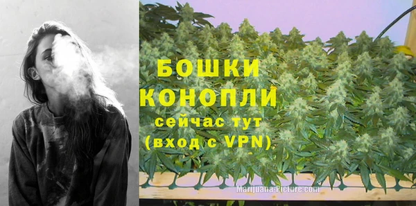 эйфоретик Кукмор
