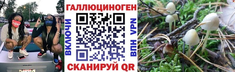 Псилоцибиновые грибы Magic Shrooms  где купить наркотик  ссылка на мегу как зайти  Нижневартовск 