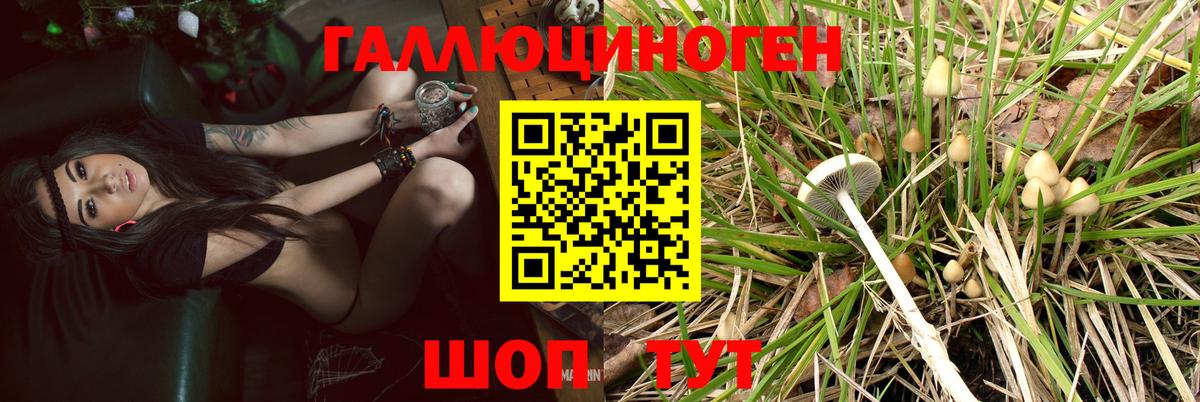 Нижневартовск  Псилоцибиновые грибы GOLDEN TEACHER  Вход с VPN 
